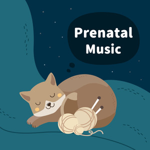 王老先生有块地 (水晶钢琴版)