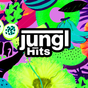 Jungl Hits (Explicit)