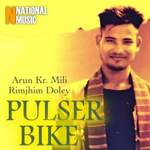 Pulser Bike - Single