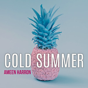 Cold Summer (Radio Edit)