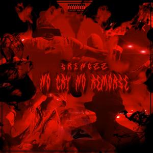 No Cry No Remorse (feat 02SEKENGS) [Explicit]