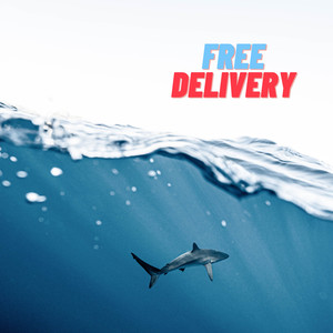 Free Delivery (Explicit)