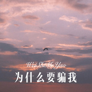 你的声音 (Remix)