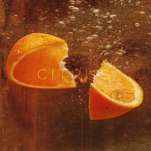 Citrus (feat. Luke Witter)