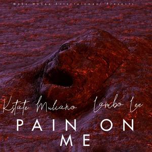 Pain On Me (feat. Lambo Lee) [Explicit]