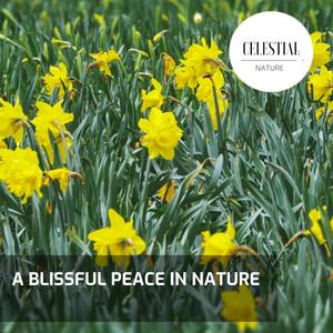 A Blissful Peace in Nature (Explicit)