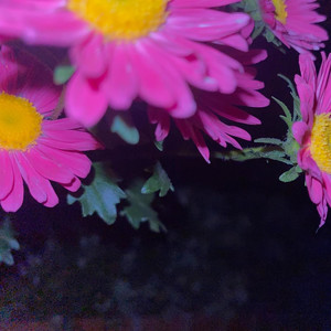 Star Shaped Sol (Explicit)