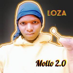 Mollo 2.0