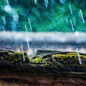 비 오는 날 듣기 좋은 노래 (Feat. Colde) (Rain Song)