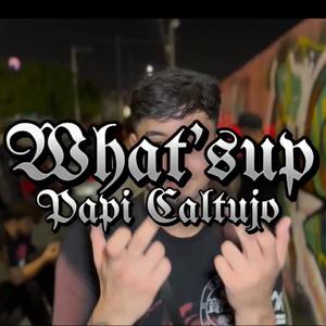 WHATS' UP (feat. PapiCaltujo) (Explicit)