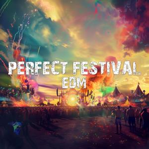 Perfect Festival EDM