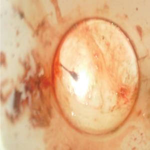 When Will the Sky Open(feat. Gary Flanagan)