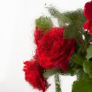 Drag Me Down (feat. Saliyah Miyanda) (Live Performance)