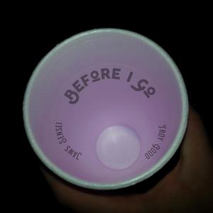 Before I Go (feat. Troy Good) (Explicit)