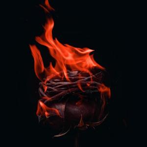 Promise(feat. cyeku, LiL DoubT & ColdStarr) (Explicit)