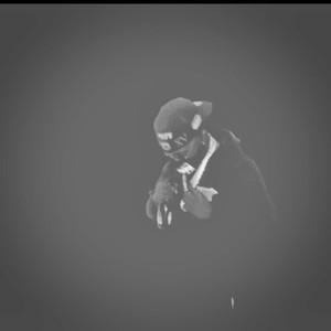 How Many? (Explicit)