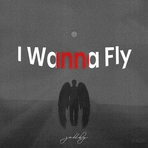 I Wanna Fly