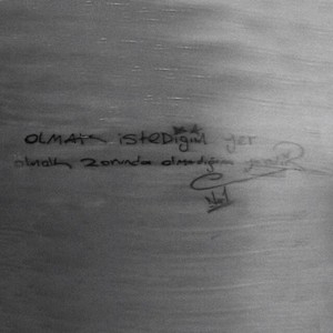 Çiçeklerde Bir Telaş Var