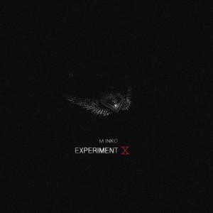 EXPERIMENT X