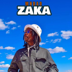 Zaka (Remix)