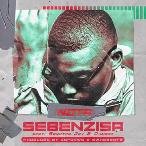 Sebenzisa (Radio Edit)