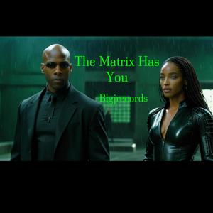 The Matrix Has You