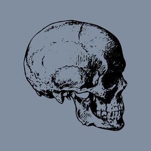 TOTENKOPF 2 (feat. Highrowglyphfix, Rogue Cypher & rxbel_504) (Explicit)