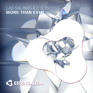 More Than Ever (Radio Edit)