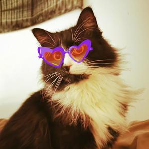 Under the lights(pop)