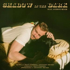 Shadow in the Dark (feat. Anthony Meyer)