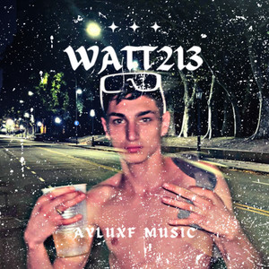 Watt 213