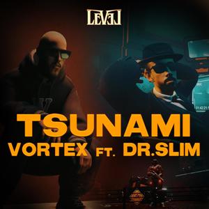 Tsunami (feat. Dr Slim)