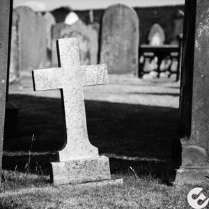 rain (Single Version)