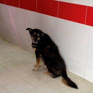 small talk (Explicit)