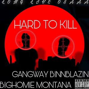 Hard To Kill (Explicit)