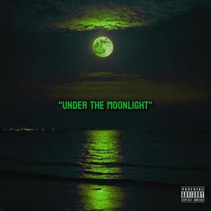 Under The Moonlight