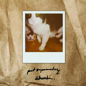 Pet Symmetry/Dikembe