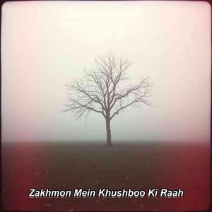 Zakhmon Mein Khushboo Ki Raah