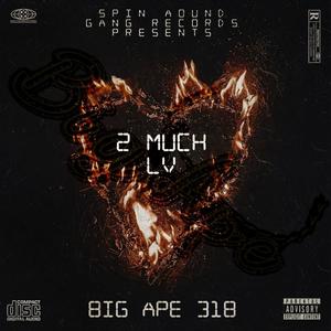 2 Much LV (Explicit)