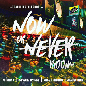 Now or Never Riddim