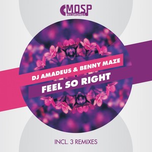 Feel So Right (LayDee Jane Remix)