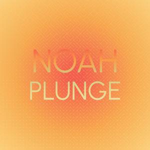 Noah Plunge