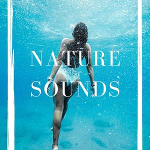 Nature Sounds: Rain, Rainforest and Jungle – Soothing Natural Sound Loopable