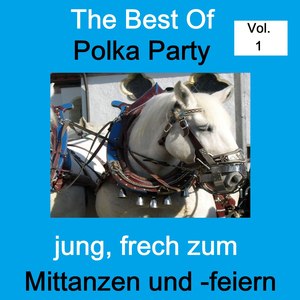 Top 30: The Best Of Polka Party - Jung, frech zum Mittanzen und -feiern, Vol. 1