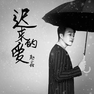 赵鑫《迟来的爱》[MP3_LRC]_MP3免费下载