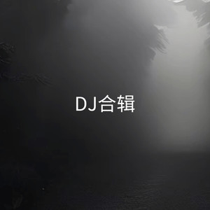 我曾用心爱着你 (DJ版)
