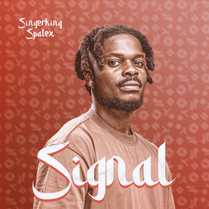 Signal