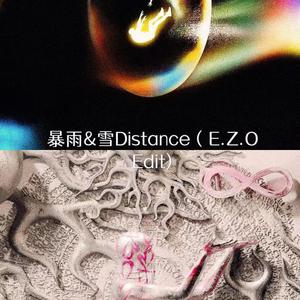 TOYOKI-暴雨&雪Distance (E.Z.O EDIT)