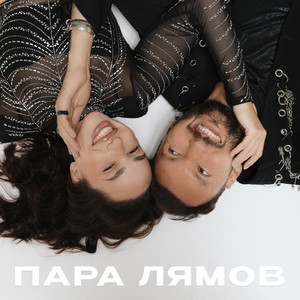 ПАРА ЛЯМОВ 2.0
