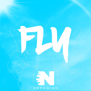 Fly